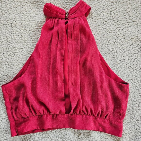 Bebe Top Shimmery Pink Fabric L Crisscross Halter-Style Sleeveless - Picture 4 of 7
